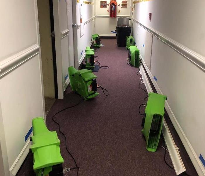 Clean hallway with green air movers on the floor. 