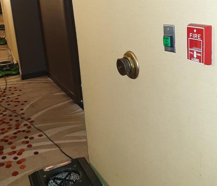 Hotel wall with a fire alarm. 